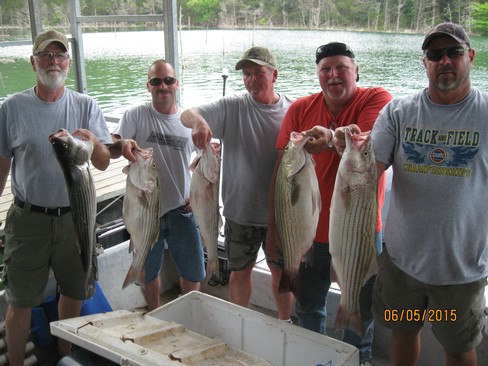 Nice Striped Bass